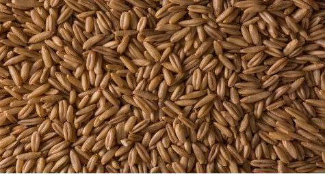 ВИБІР І ПІДГОТОВКА СУБСТРАТУ