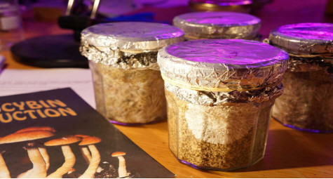 КРОК 1: ПІДГОТОВКА СУБСТРАТУ (ПРОСТИЙ СПОСІБ PF-TEK)