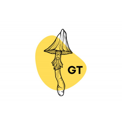 ШТАМ GOLDEN TEACHER: ІДЕАЛЬНИЙ ВАРІАНТ ДЛЯ НОВАЧКІВ У МІКОЛОГІЇ!