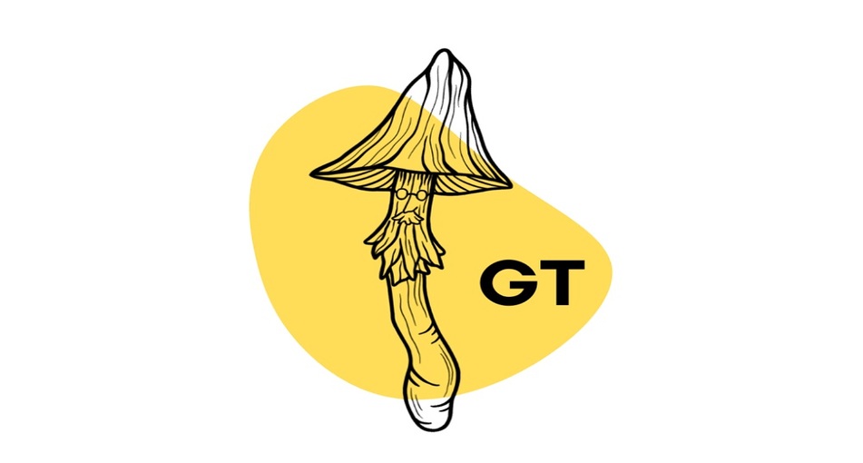 ШТАМ GOLDEN TEACHER: ІДЕАЛЬНИЙ ВАРІАНТ ДЛЯ НОВАЧКІВ У МІКОЛОГІЇ!