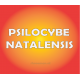 PSILOCYBE NATALENSIS