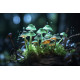 PSILOCYBE CUBENSIS Z-STRAIN: ПРОИСХОЖДЕНИЕ И УНИКАЛЬНЫЕ ХАРАКТЕРИСТИКИ ГРИБОВ
