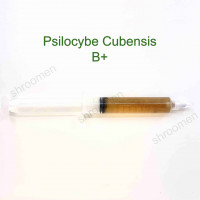 Жидкий мицелий B+ — Psilocybe Cubensis