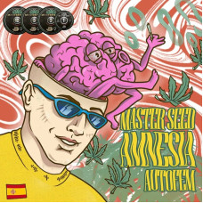 Amnesia Autofem