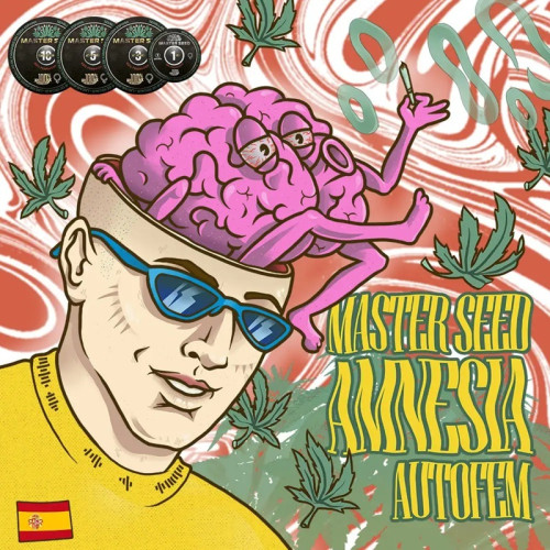 AMNESIA AUTOFEM — АВТОКВІТУЧИЙ САТИВНИЙ СОРТ З ВИСОКИМ ПОТЕНЦІАЛОМ