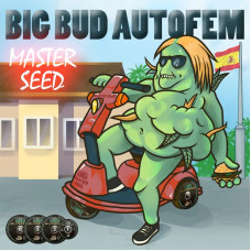 Big Bud Autofem