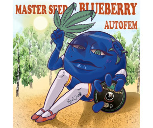 Blueberry Autofem