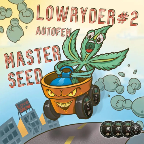 LOWRYDER #2 AUTOFEM — КОМПАКТНИЙ АВТОКВІТУЧИЙ СОРТ